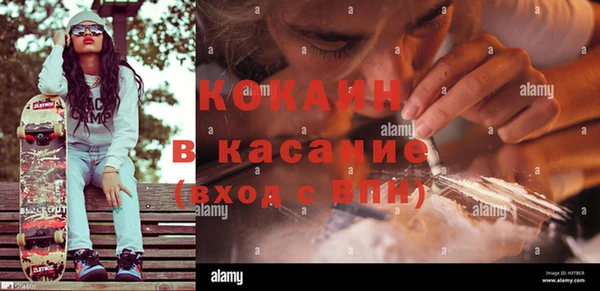 амф Заволжье