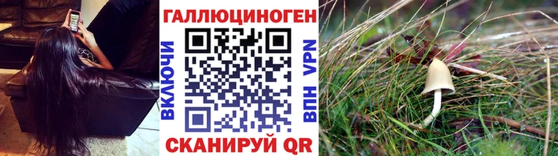 Псилоцибиновые грибы ЛСД  Купить  Кандалакша 