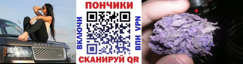 Купить где  Кандалакша  МАРИХУАНА гибрид 